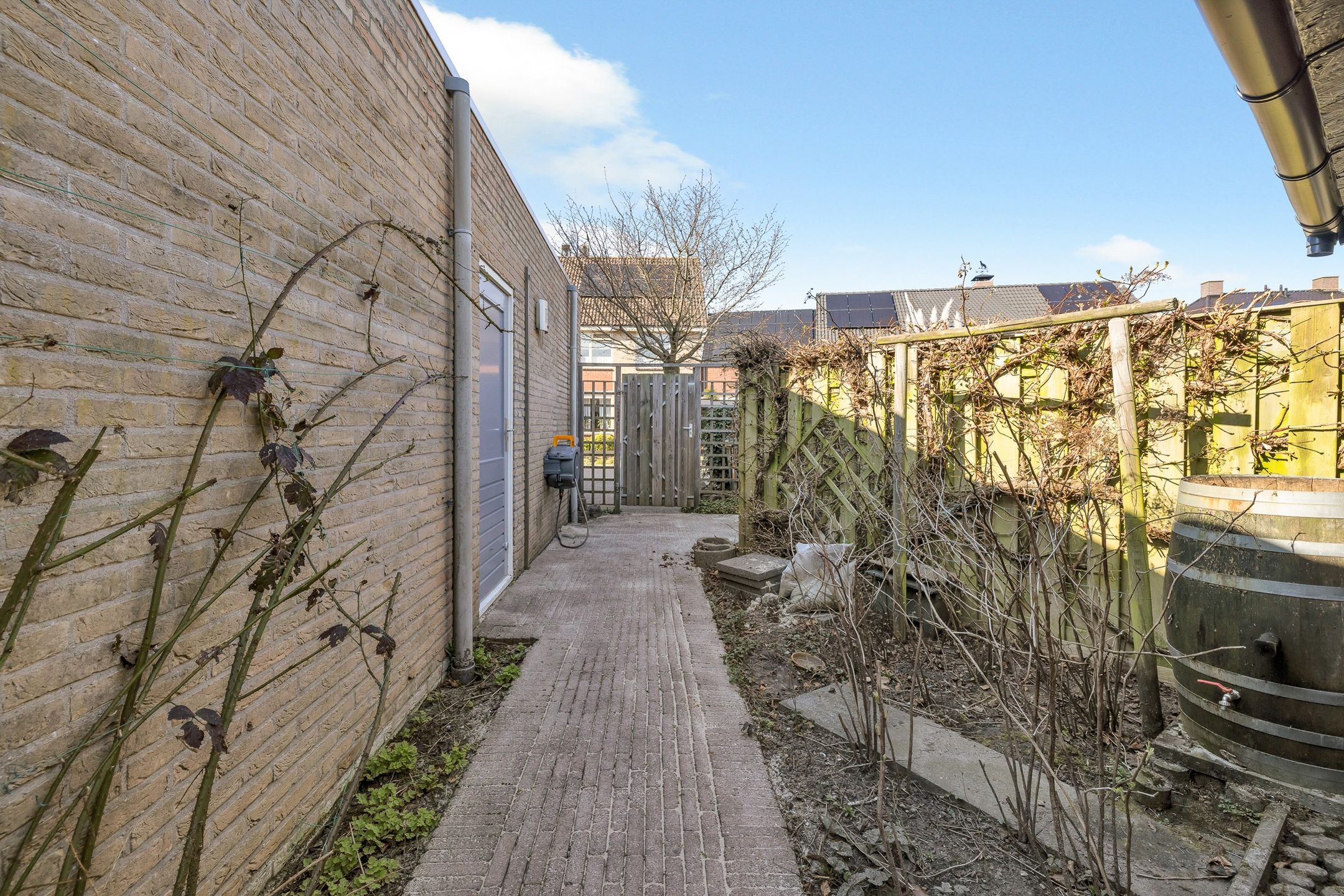 Photo 66 of Rietkamp 38