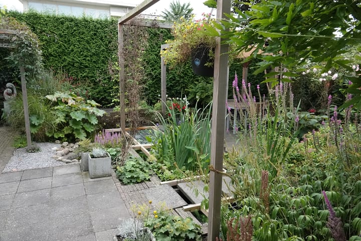 Foto 61 van Rietkamp 38