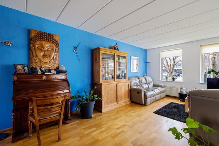 Foto 5 van Boerhoorn 48-A