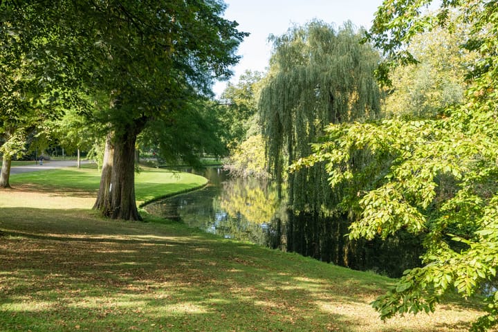 Foto 56 van Calandstraat 58-D