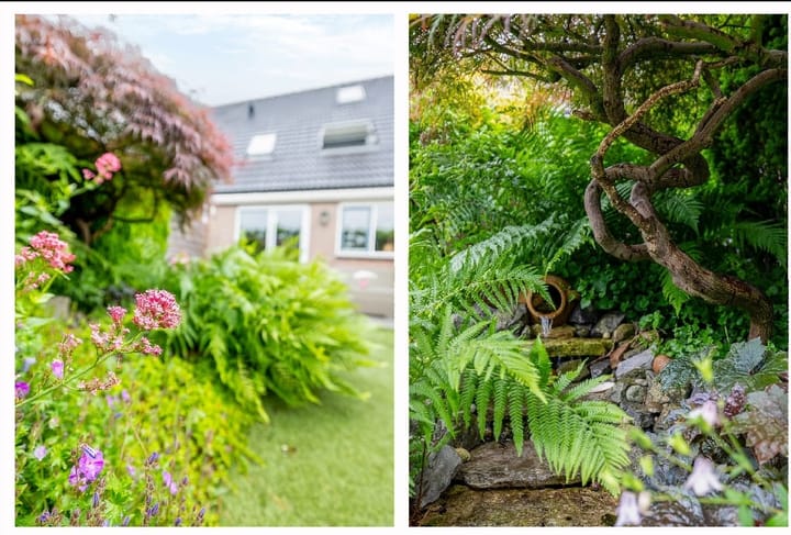 Foto 17 van Stresemannstraat 5