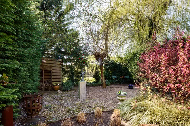 Foto 12 van Duizendblad 27