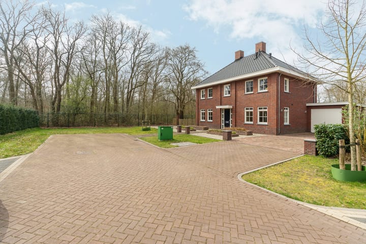 Photo 6 of Logterbos 15