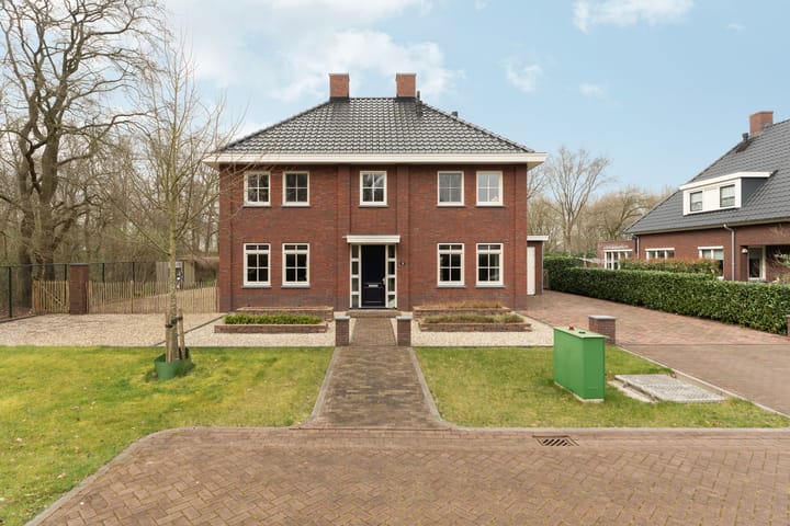 Photo 7 of Logterbos 15