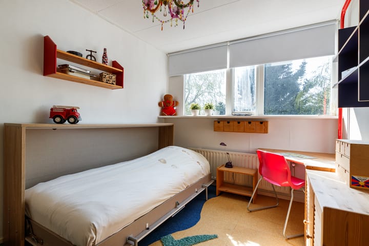 Foto 17 van Duizendblad 27