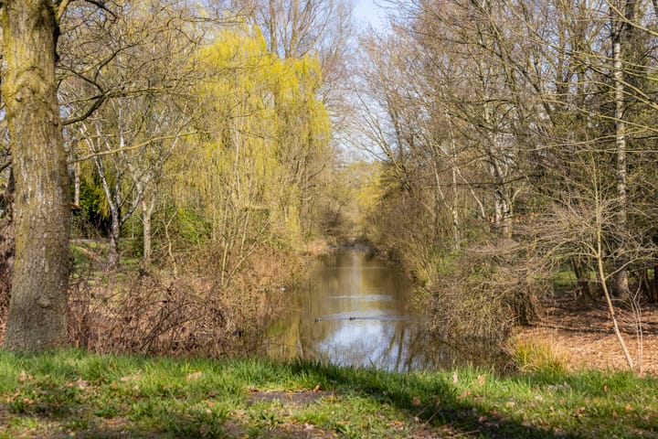 Foto 41 van Annadaal 77