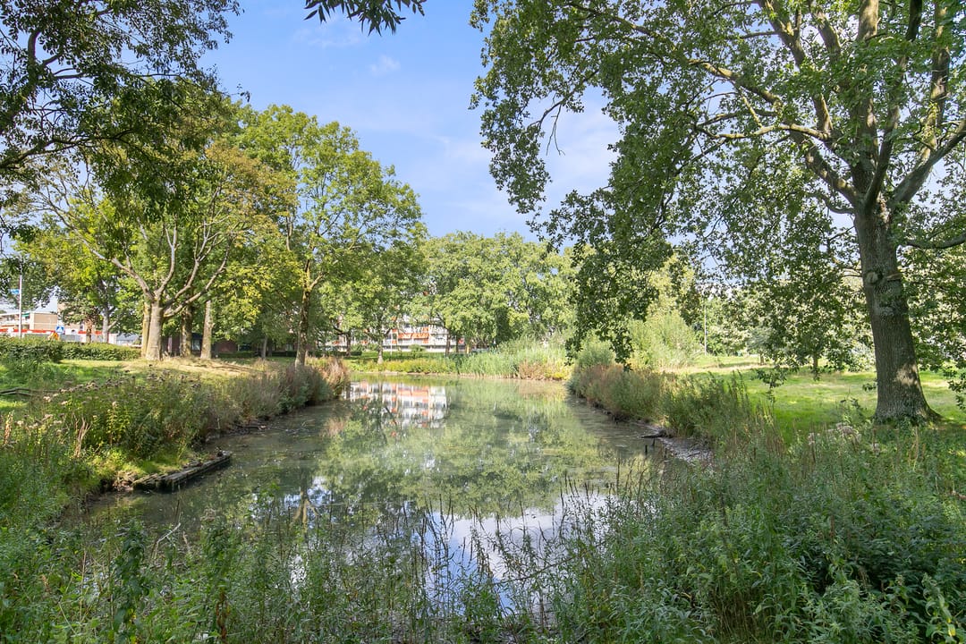 Photo 11 of Lankforst 1108