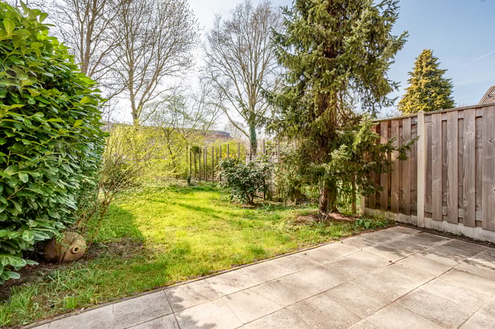 Foto 5 van Antilope 39