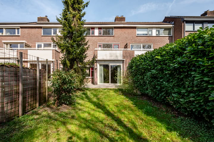 Foto 6 van Antilope 39