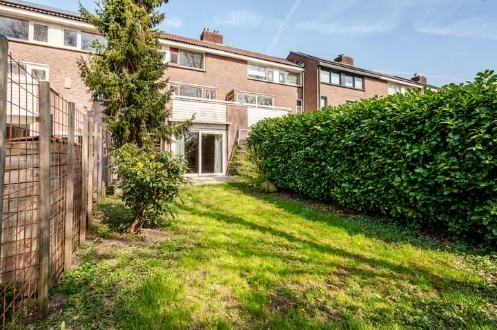 Foto 7 van Antilope 39