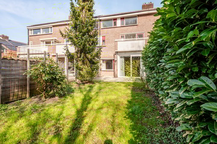 Foto 8 van Antilope 39