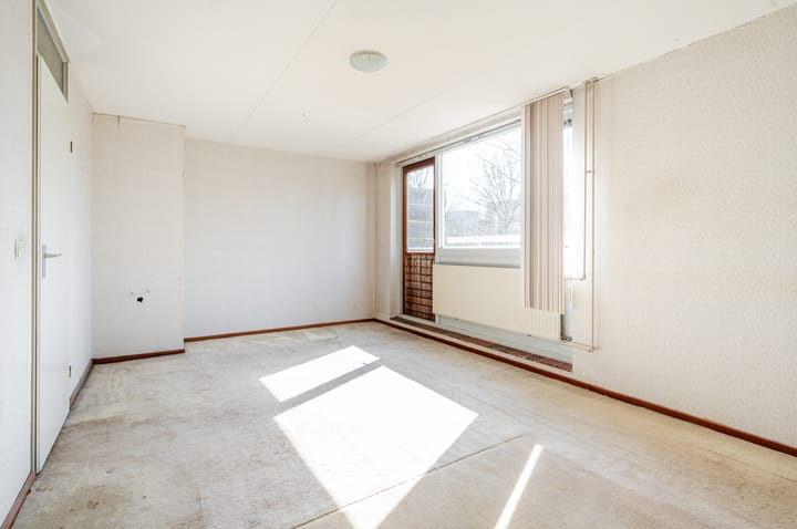 Foto 21 van Antilope 39