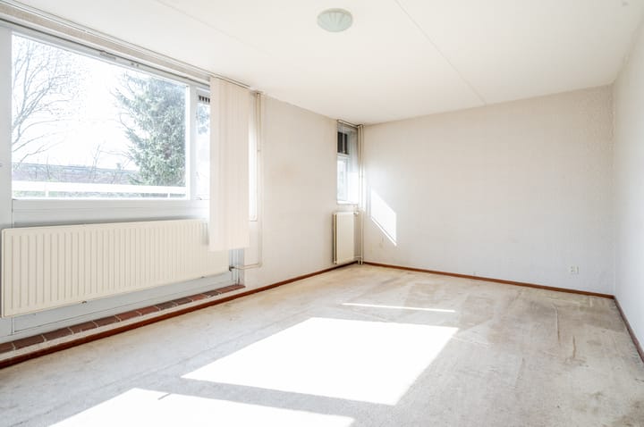 Foto 24 van Antilope 39