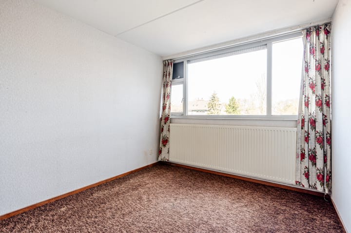 Foto 25 van Antilope 39