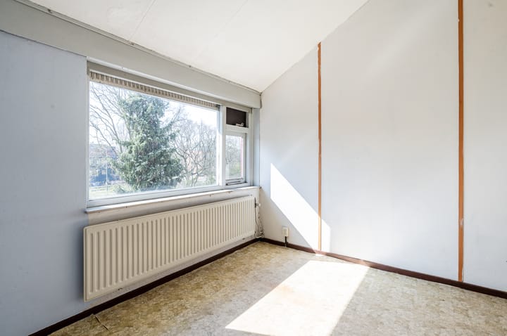 Foto 37 van Antilope 39