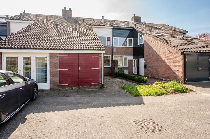 Foto 41 van Antilope 39