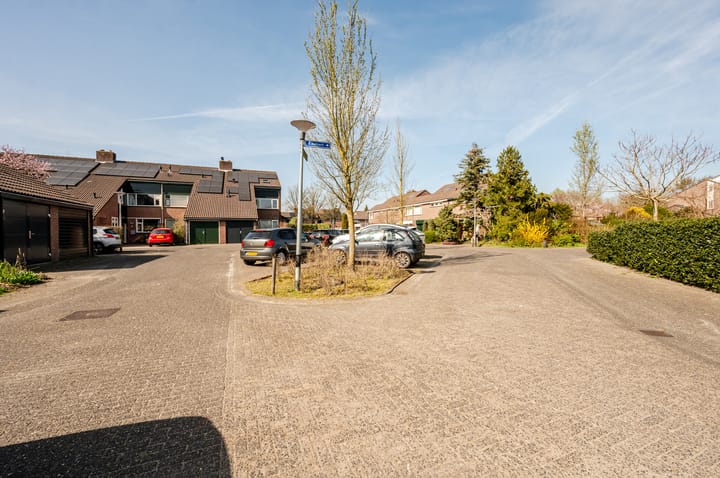 Foto 43 van Antilope 39