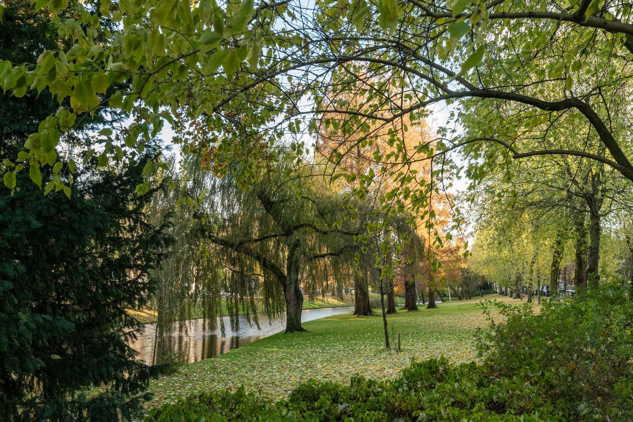 Foto 27 van Mathenesserlaan 370-D