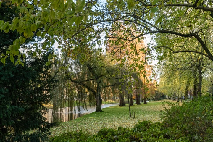 Foto 27 van Mathenesserlaan 370-D