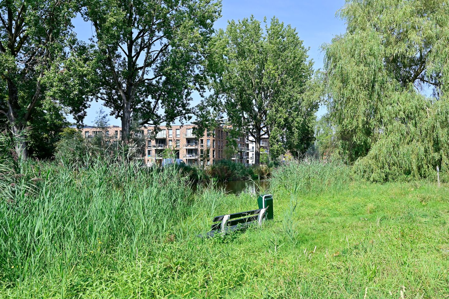 Foto 29 van Korenbloemstraat 9