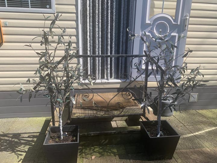 Photo 5 of Zandhuizerweg 19