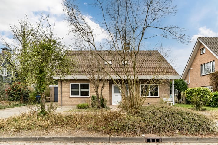 Foto 1 van Ridderspoor 7