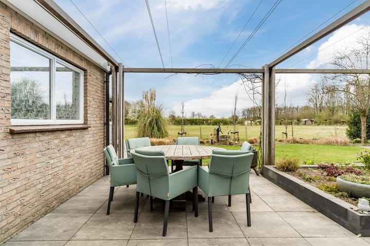 Foto 4 van Ridderspoor 7