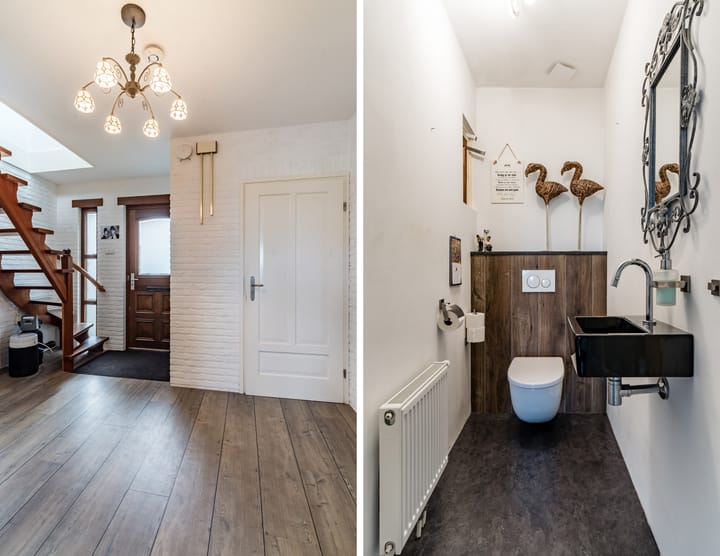 Foto 5 van Ridderspoor 7