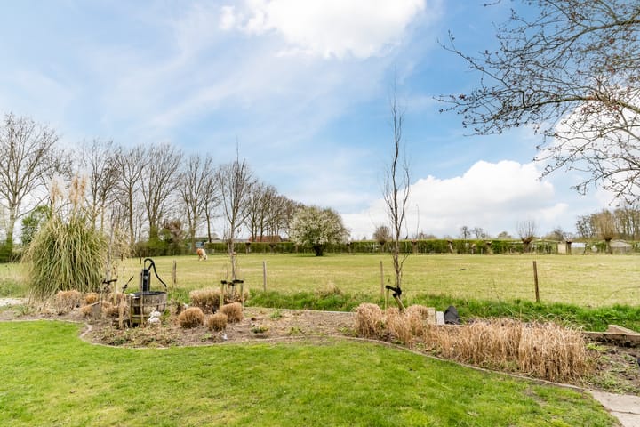 Foto 38 van Ridderspoor 7