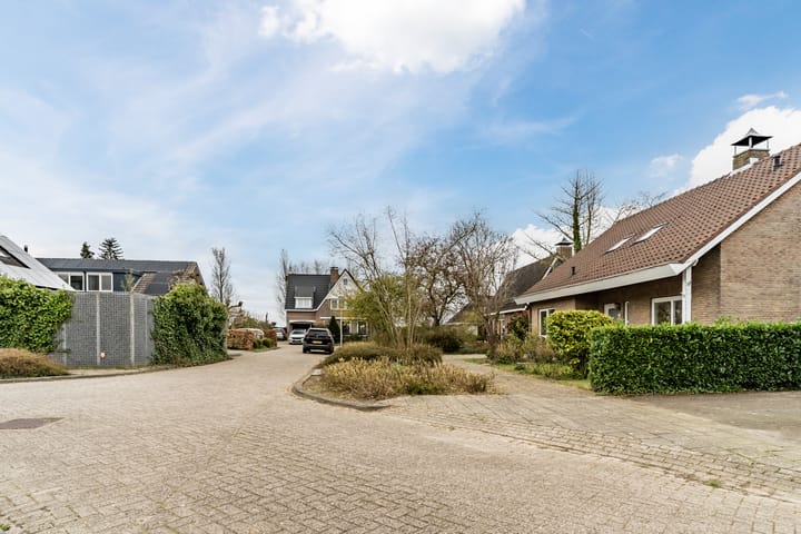 Foto 39 van Ridderspoor 7