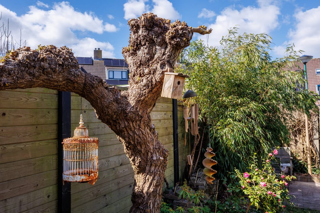 Photo 22 of Kruisbessengaard 102