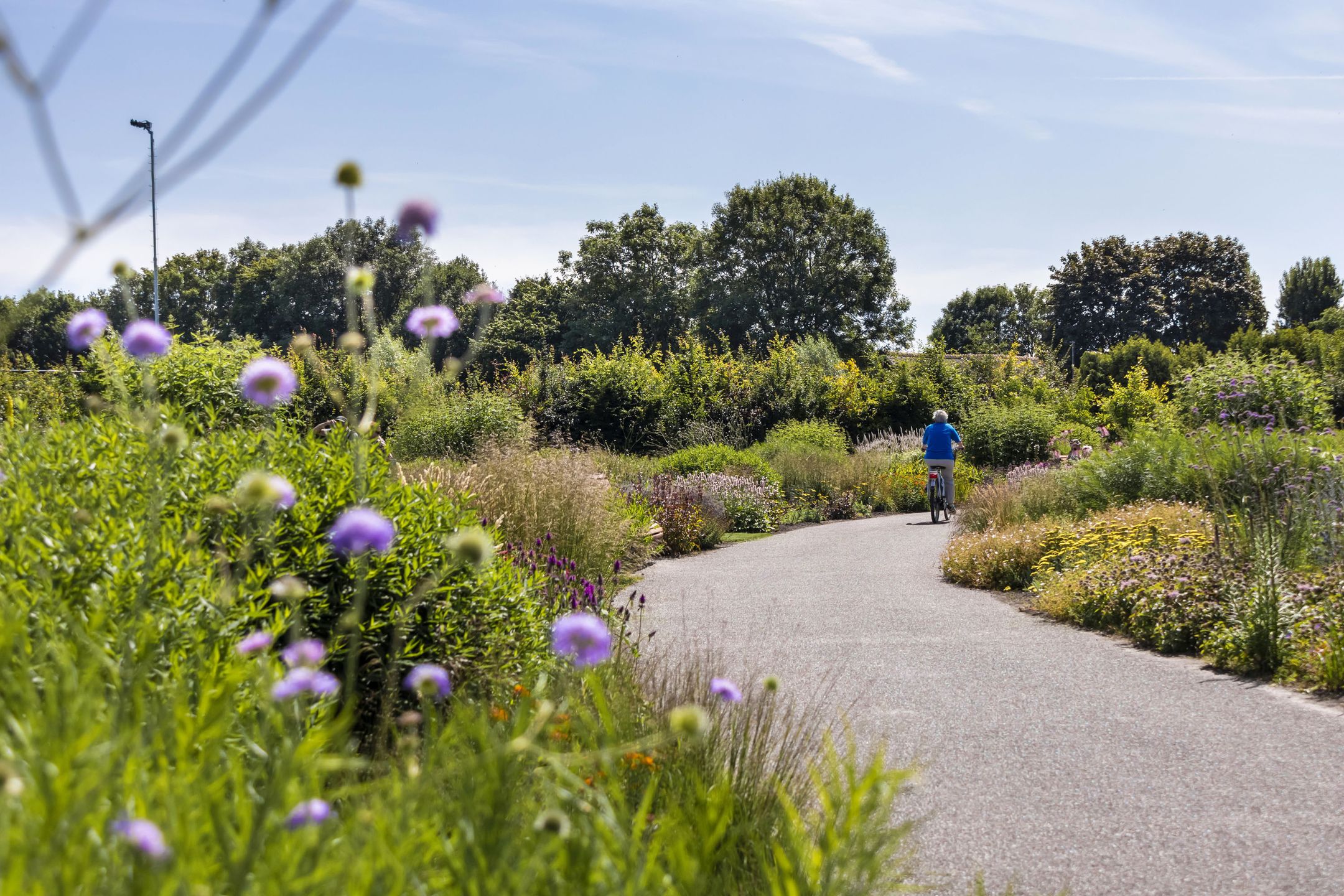 Foto 36 van De Ruiterberg 32