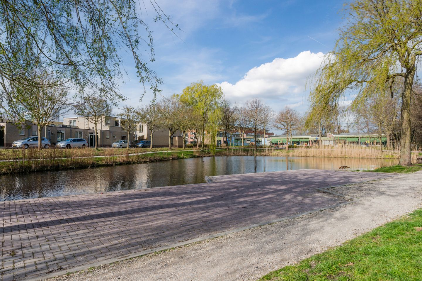 Foto 50 van Vesta 21