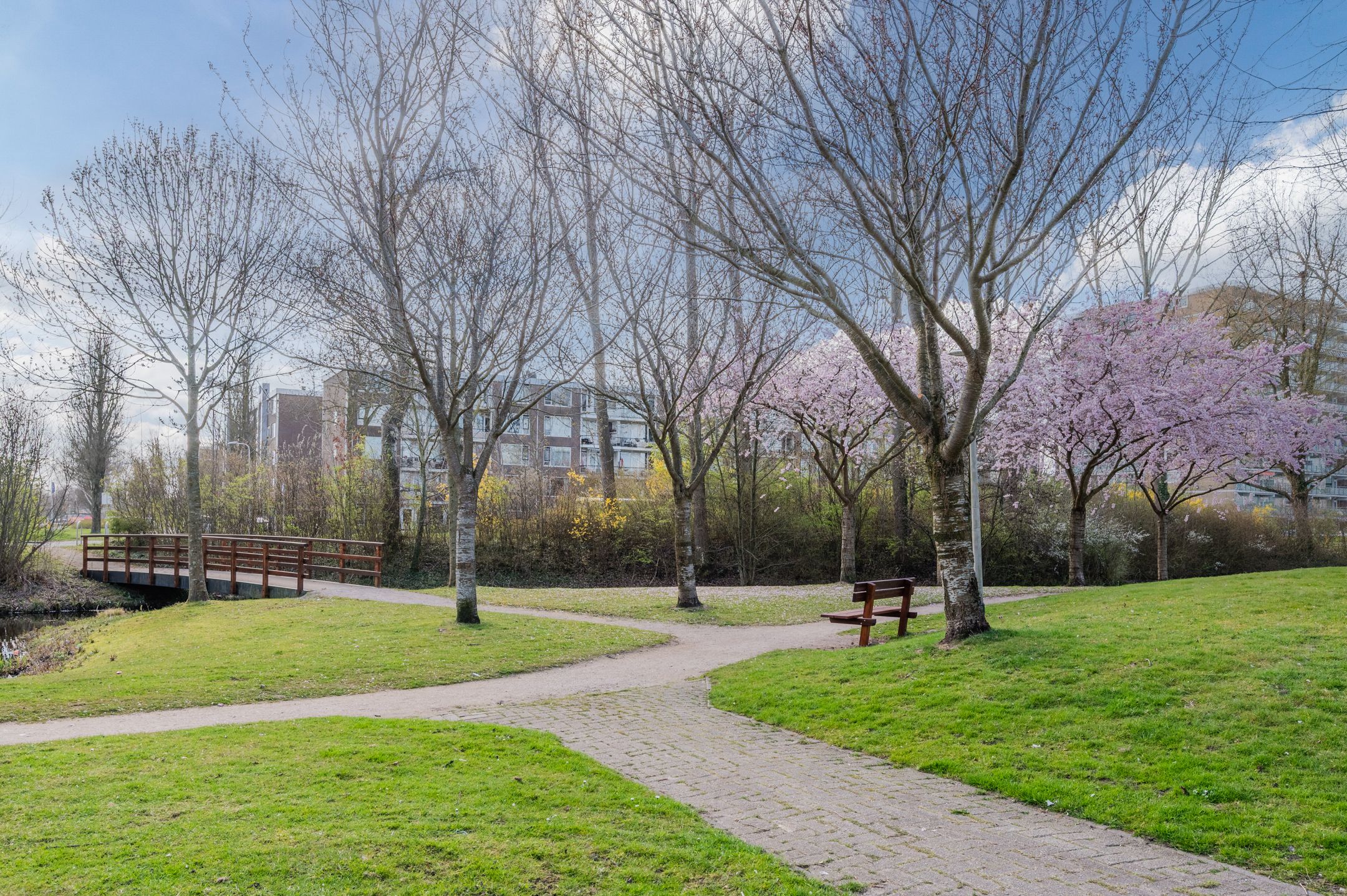 Foto 51 van Vesta 21