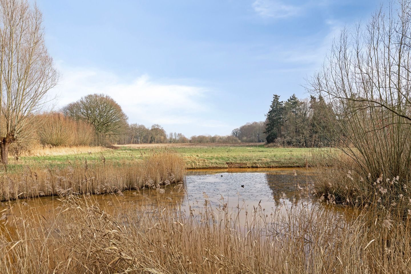 Foto 4 van Petronella Moensstraat 42