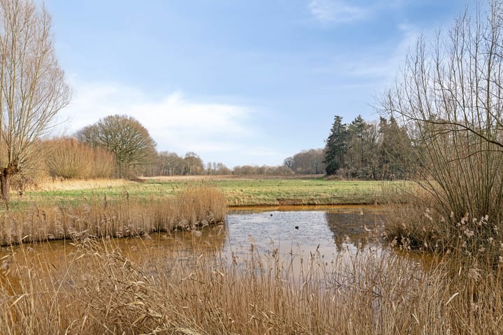 Foto 4 van Petronella Moensstraat 42