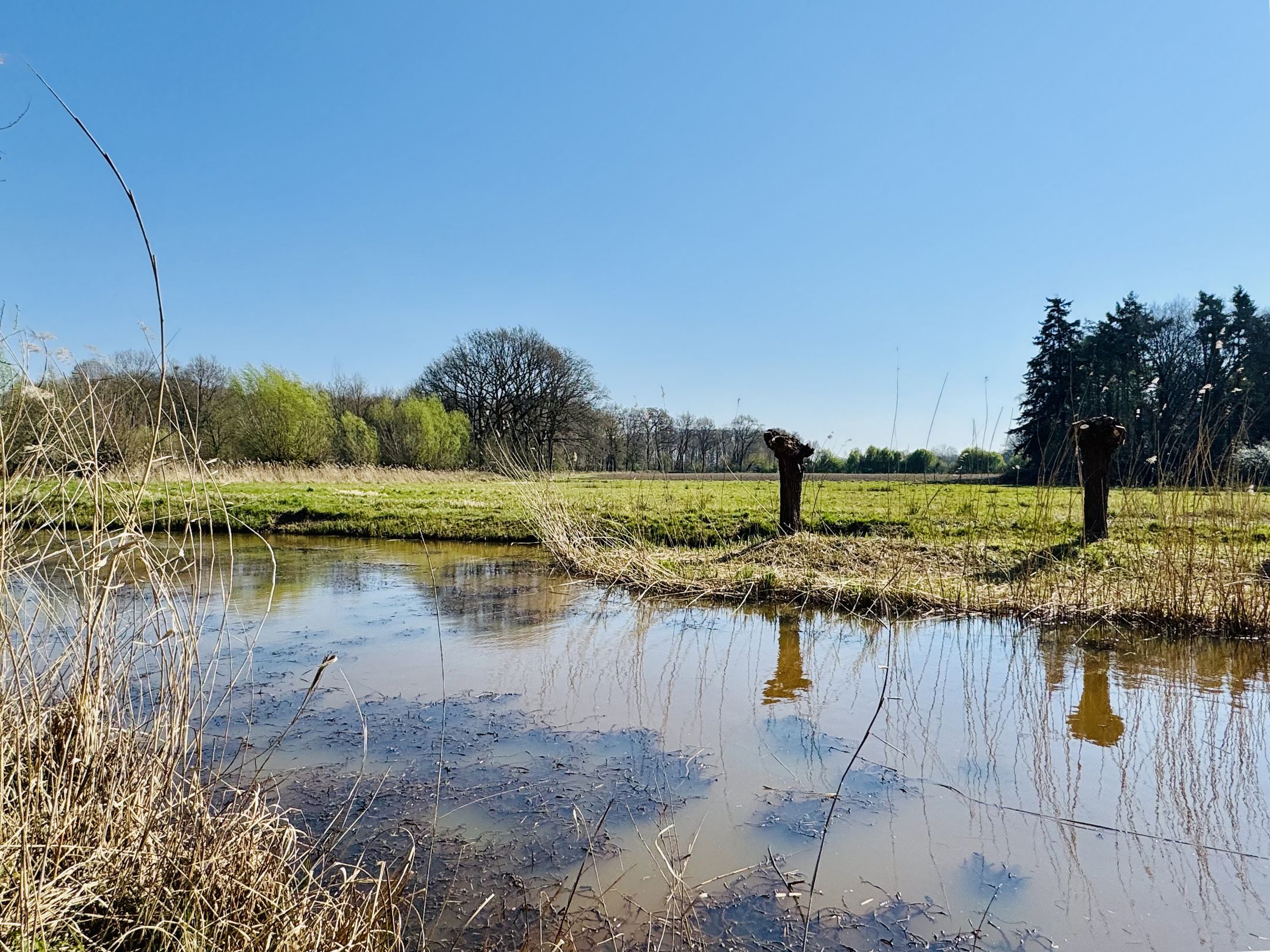 Foto 24 van Petronella Moensstraat 42