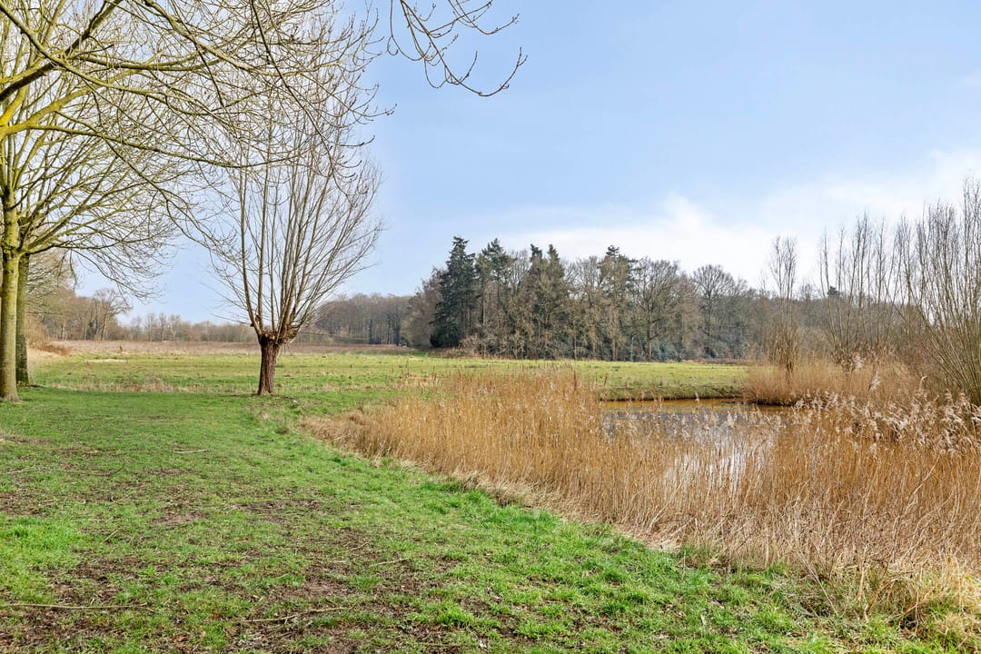 Foto 26 van Petronella Moensstraat 42