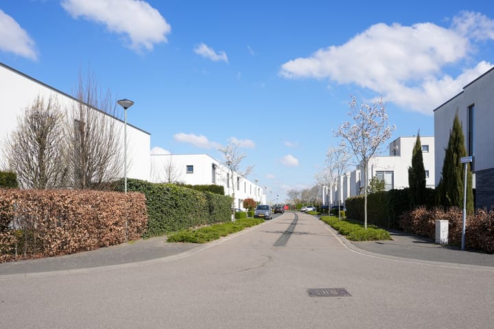 Foto 6 van Teunisbloem 21