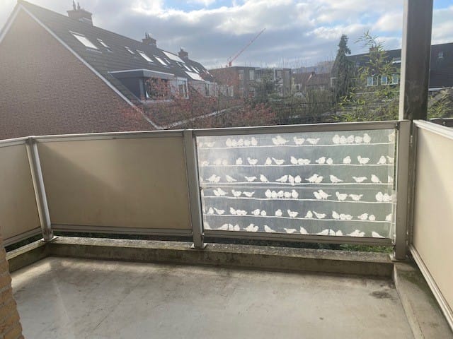 Foto 8 van Van Reesstraat 41