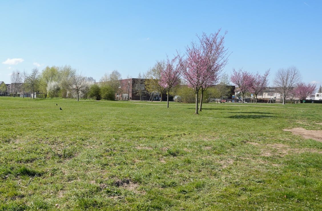 Foto 39 van Teunisbloem 21