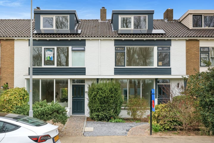undefined main image