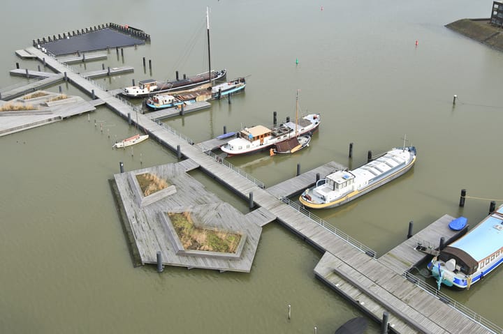 Foto 40 van Haringbuisdijk 891