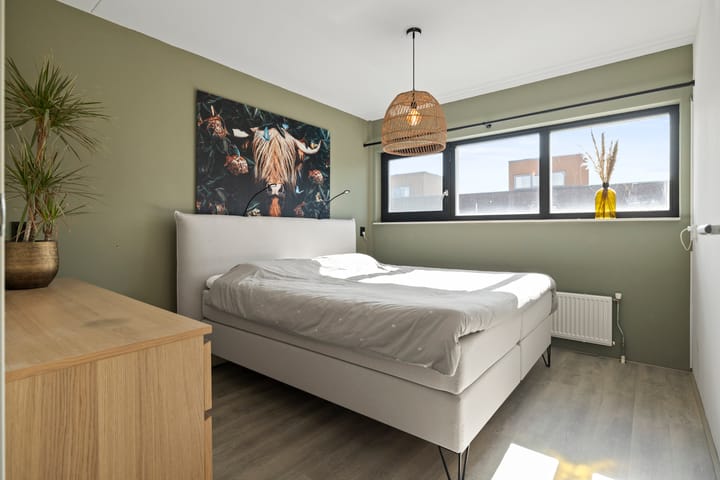 Foto 11 van Diamant 42