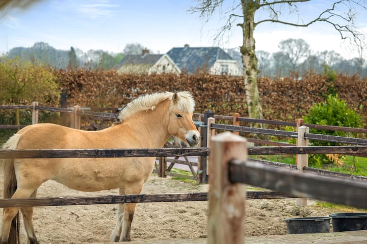 Foto 42 van Wezeweg 39