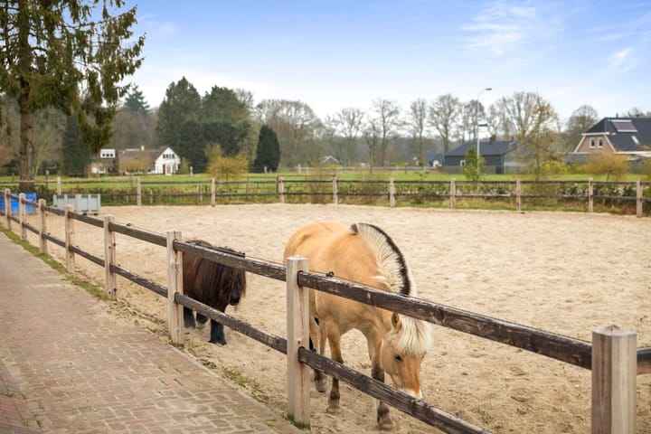 Foto 44 van Wezeweg 39