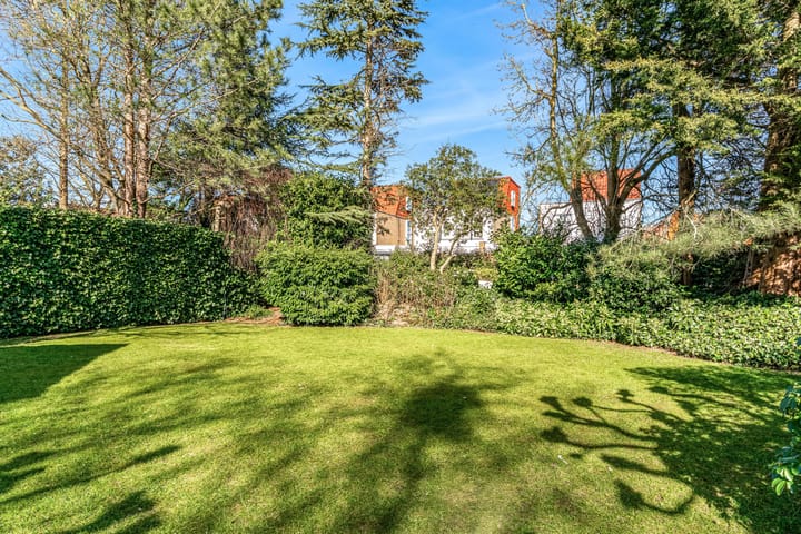 Foto 40 van Robert Stolzhof 120