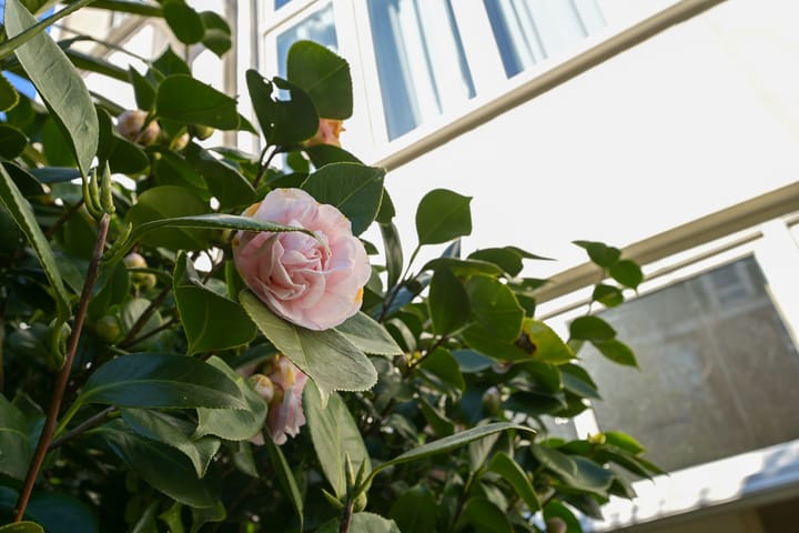 Foto 34 van Suezkade 130