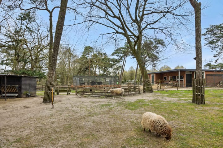 Foto 47 van Eikenburglaan 24