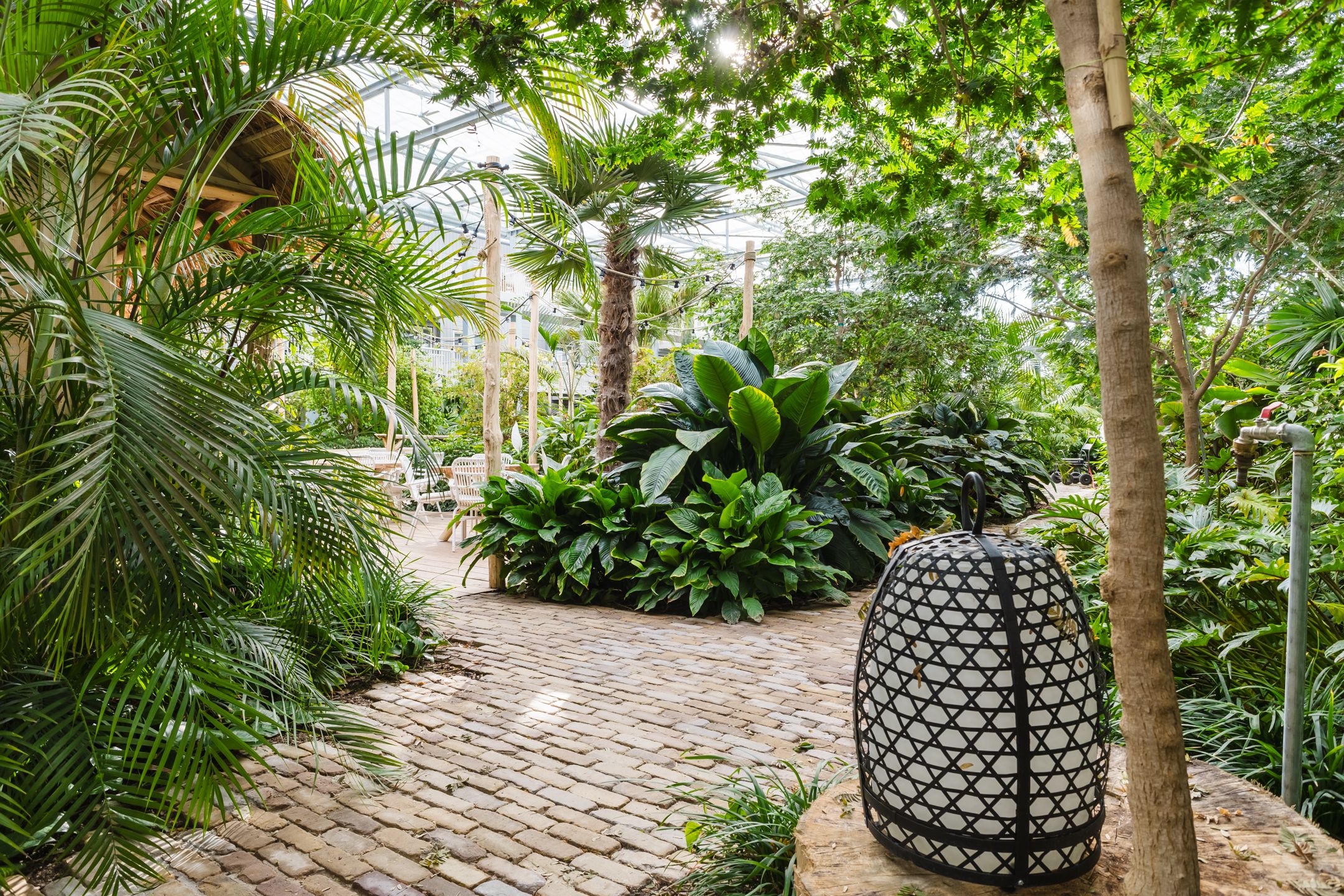 Photo 30 of Prinsessenpark 15